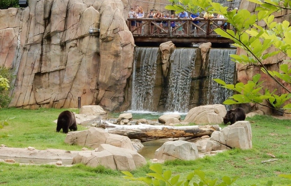 Memphis Zoo in Buchanan Pictures